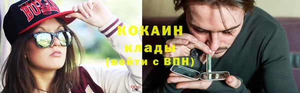 Альфа ПВП Горняк