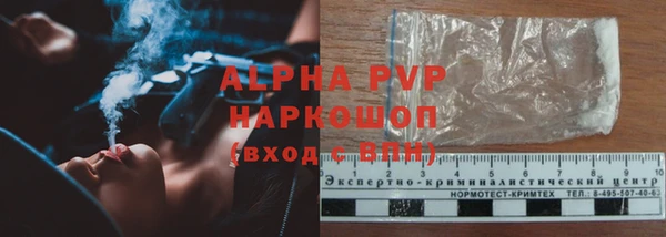 Альфа ПВП Горняк