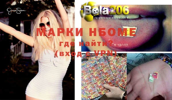 Альфа ПВП Горняк