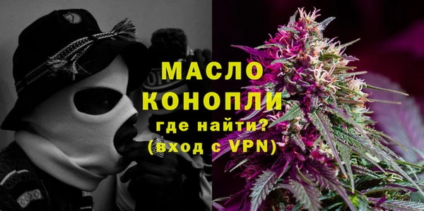 Альфа ПВП Горняк