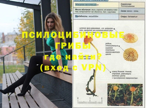 Альфа ПВП Горняк