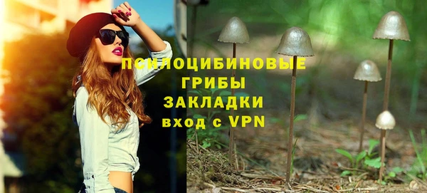 марки lsd Горно-Алтайск