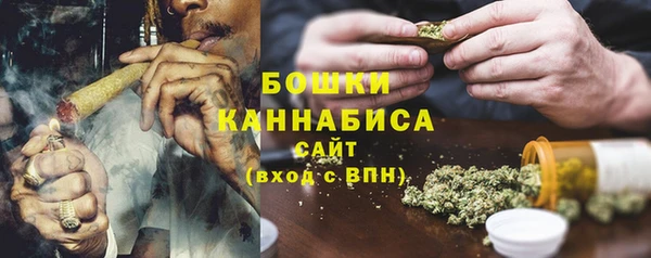 Альфа ПВП Горняк