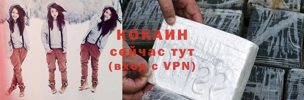 Альфа ПВП Горняк